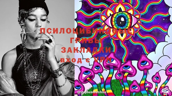 амф Алзамай